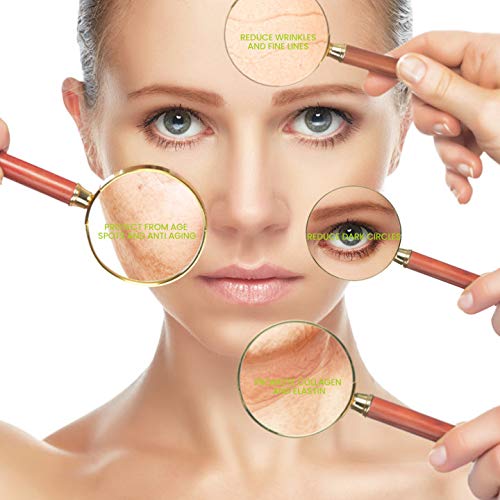 H Vitamin E Oil - Anti Aging, Reduce Wrinkles and Fine Lines for Moisturized & Youthful Skin